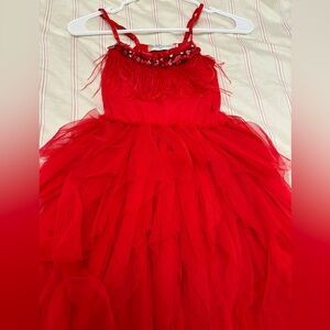 Red feather and stone dress with tutu bottom